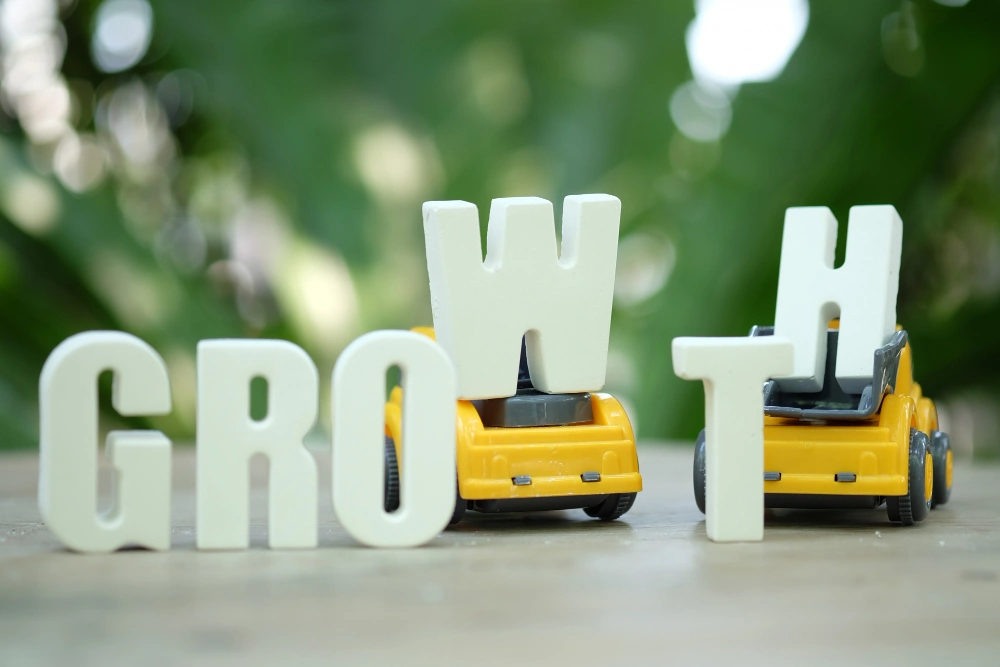 What Is Growth Navigate Funding growth with cars
